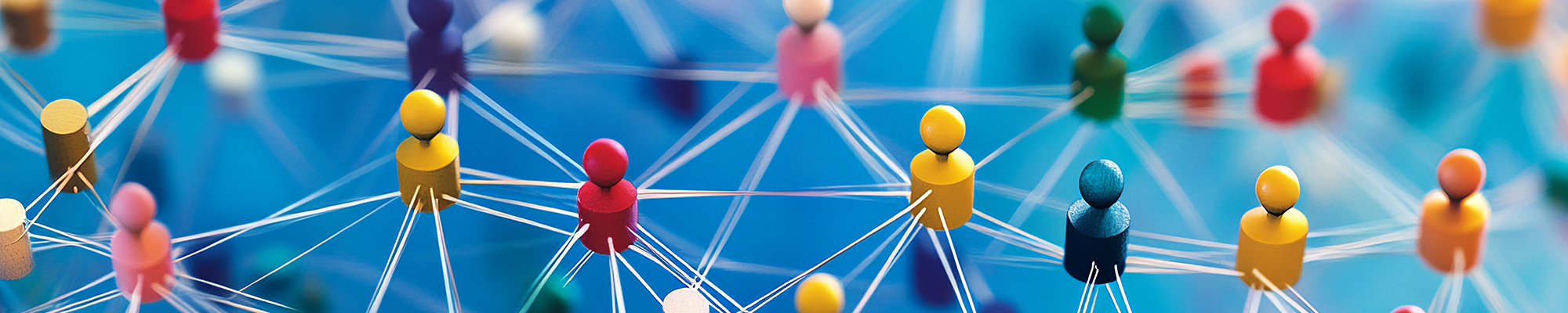 Imagen Faculty and External Participation